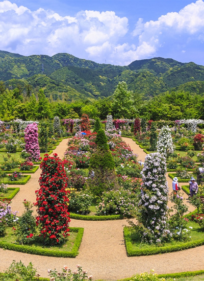 河津バガテル公園