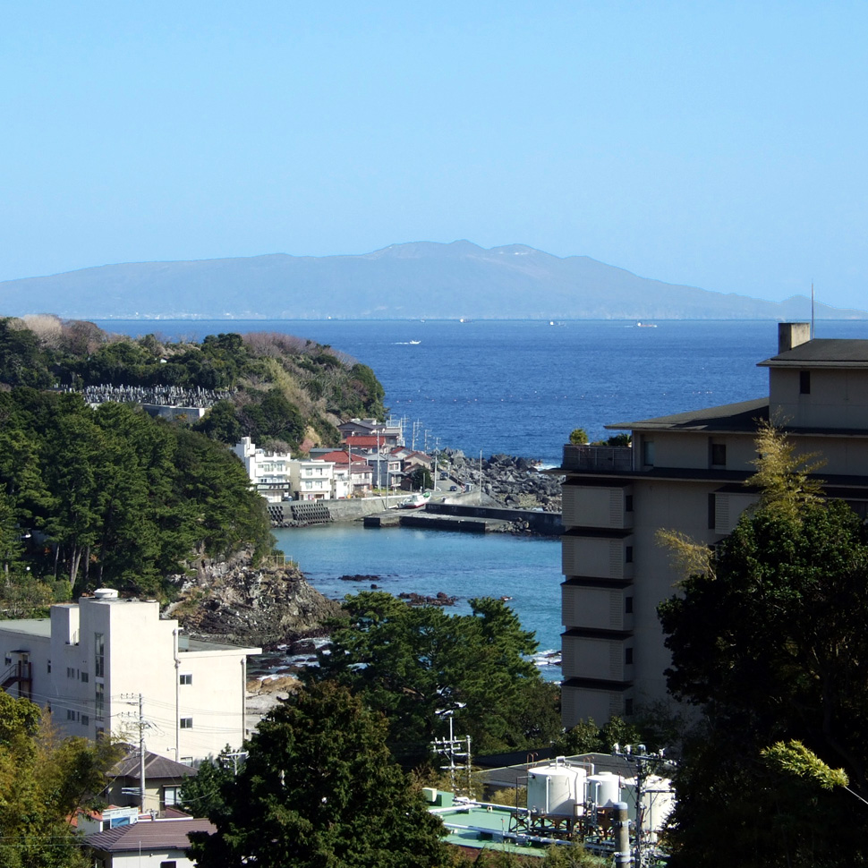 お部屋からの眺め