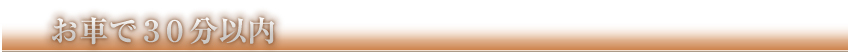 車で30分以内