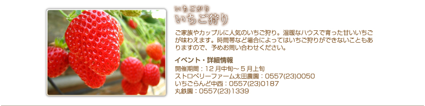 いちごﾞ狩り
