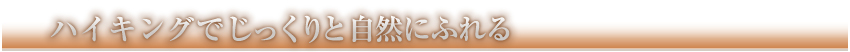 ハイキングでじっくりと自然にふれる